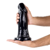Black Hole ALL IN 25 x 8 cm